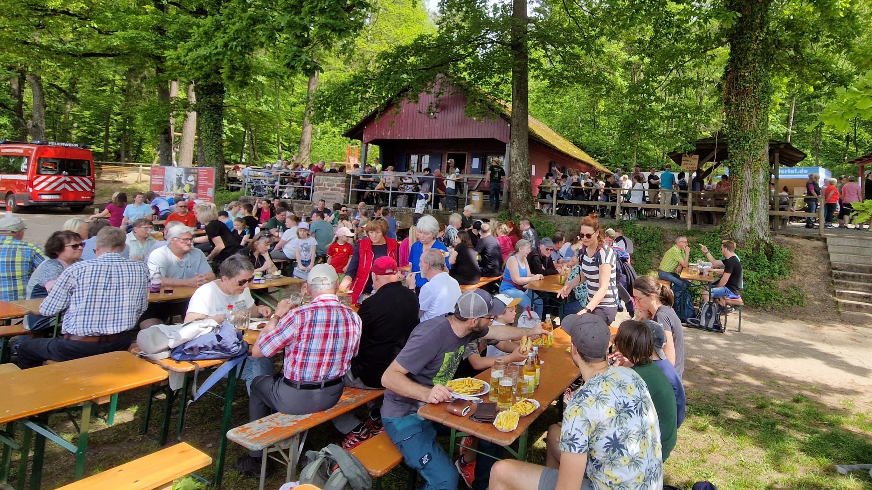 Eine große Gruppe von Menschen sitzt während des Mai-Hocks im Freien an Picknicktischen, isst und trinkt in der Nähe der Waldhütte Vogesenblick in Schmieheim, mit Bäumen und einem Holzgebäude im Hintergrund.